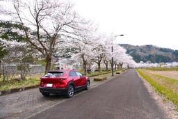 マツダ・CX-30が車検切れしたらどうする?車検を通す方や費用を抑える方法を解説