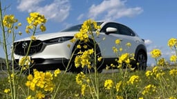 マツダ・CX-30の車検料金はいくら?費用相場や車検費用を安くする方法を紹介!