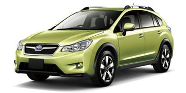 XV