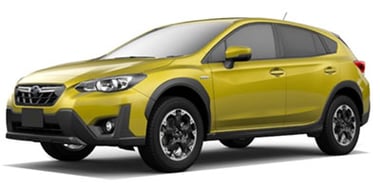 XV