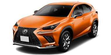 NX300