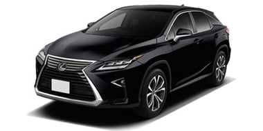RX300